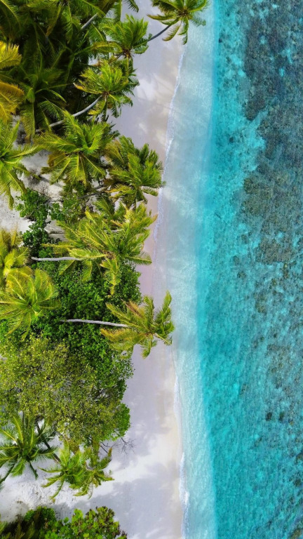 Атолл Дхаалу: Villa Stella, Rinbudhoo