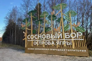 Северодвинск: Апартаменты SeveRent в ЖК Нахимов 115