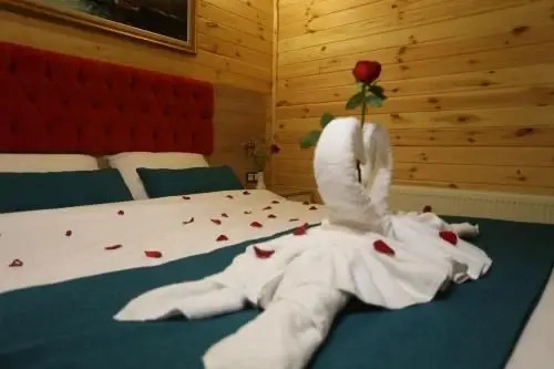 Узунгёль: Ensar Hotel