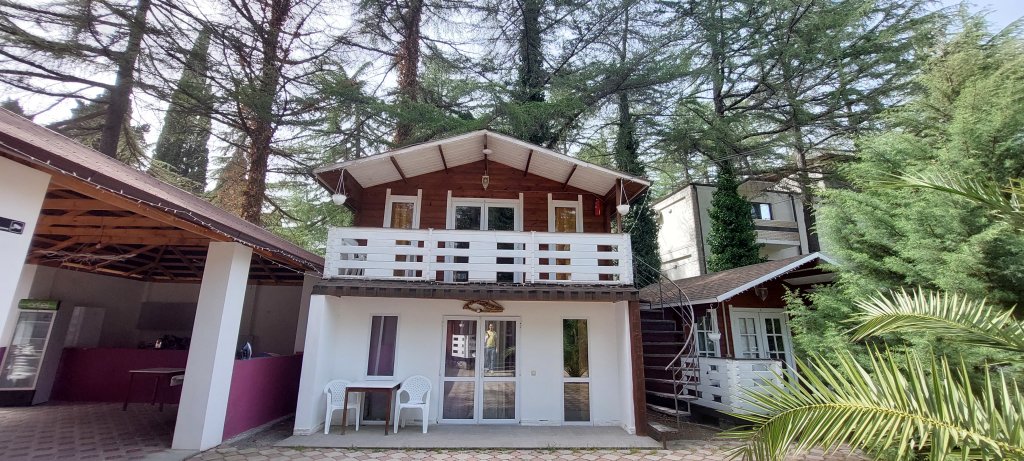 Пицунда: Курортный отель Eco House Pitiunt