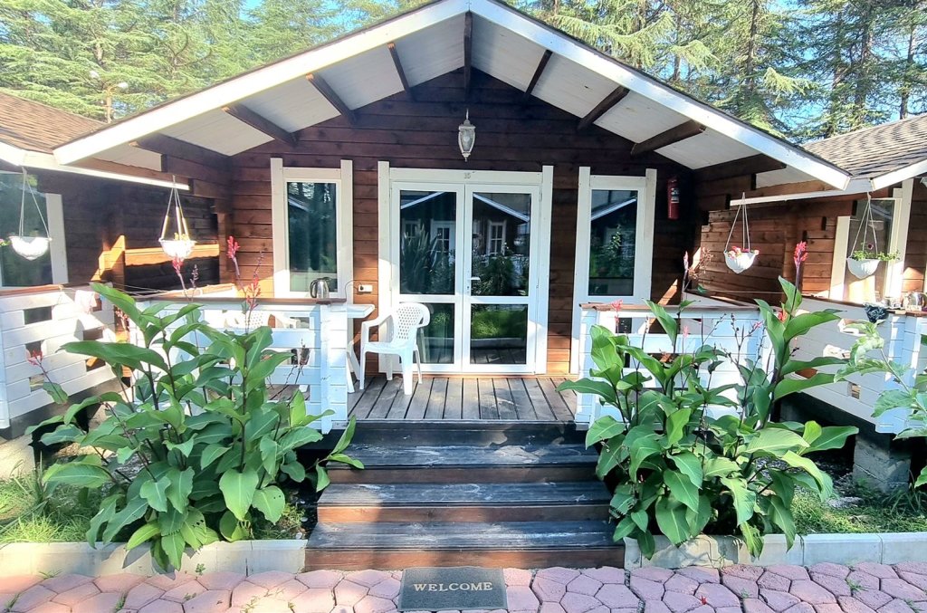 Пицунда: Курортный отель Eco House Pitiunt