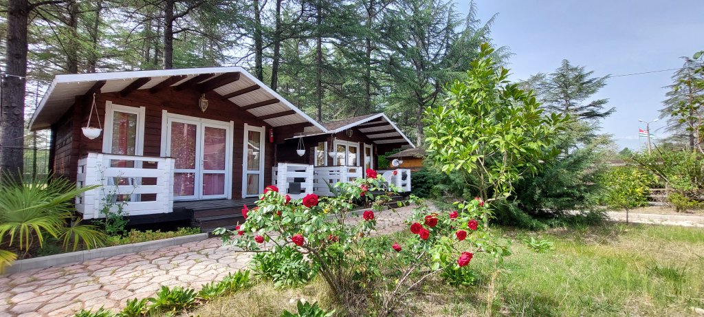 Пицунда: Курортный отель Eco House Pitiunt