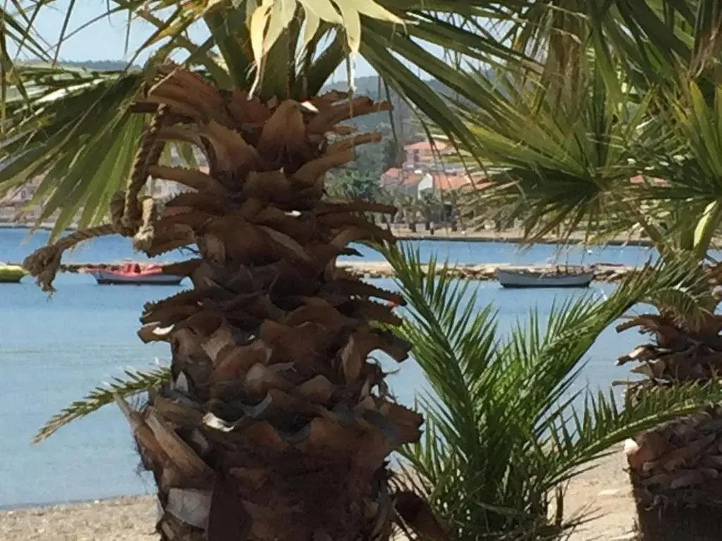 Helvaci: Hellenika Otel & Restoran