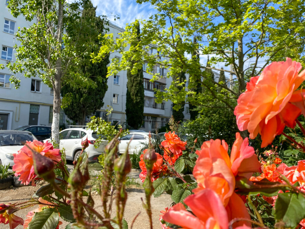 Севастополь: Квартира Уютная на ПОРе