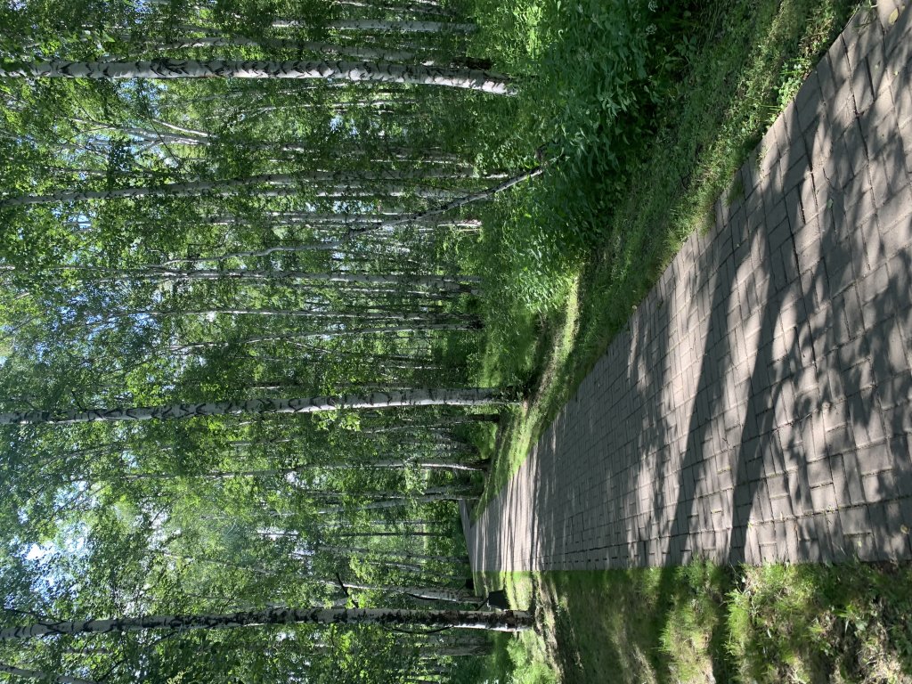 Зеленая Поляна: Бунгало Таунхаус