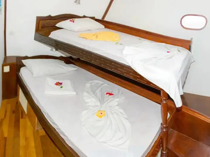 Maldivica Cruise ( Maldivian Dream) — фото 1