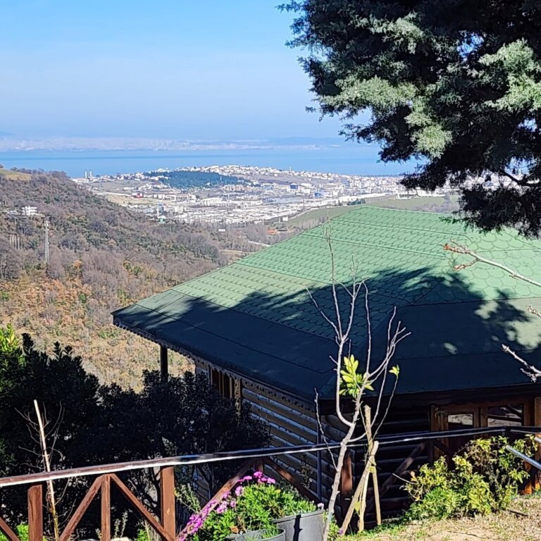 Nefes House — фото 1