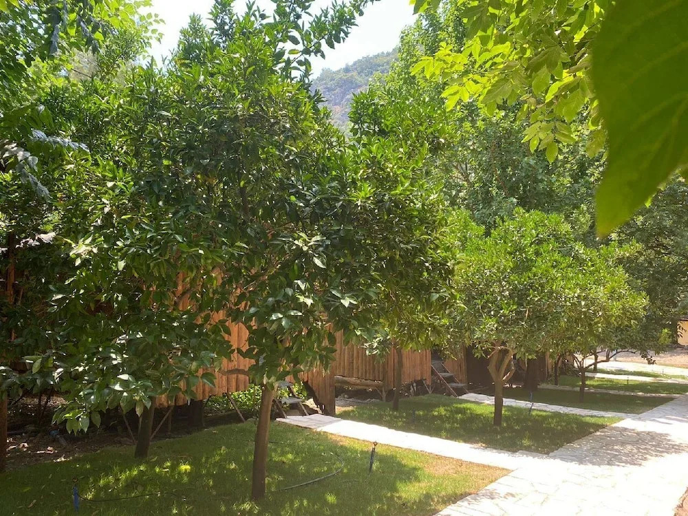 Кумлуджа: Olympos Çamlik Pansiyon