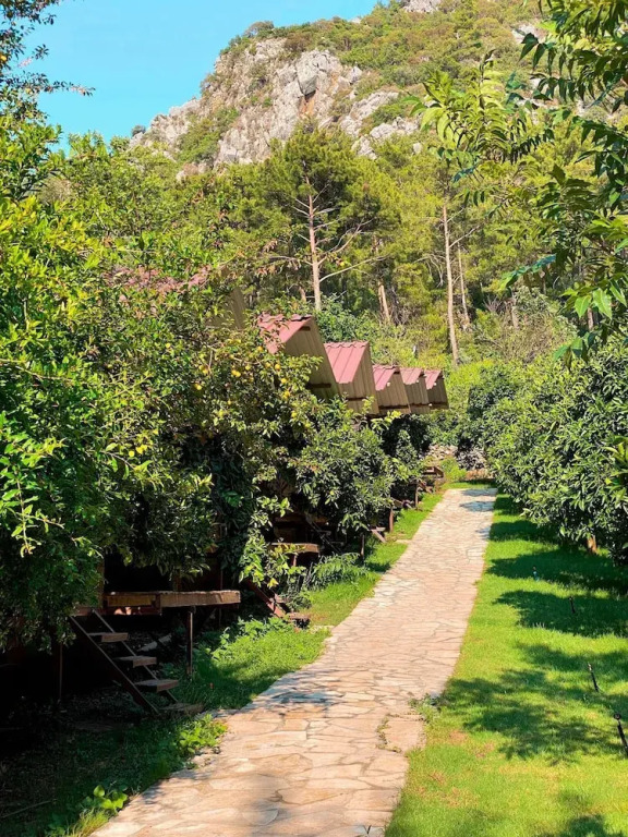 Кумлуджа: Olympos Çamlik Pansiyon