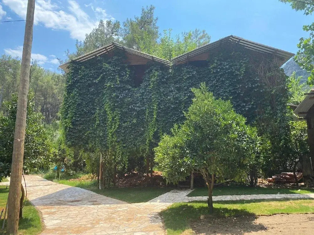 Кумлуджа: Olympos Çamlik Pansiyon