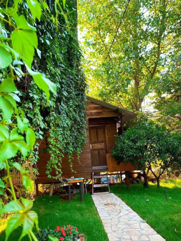 Кумлуджа: Olympos Çamlik Pansiyon
