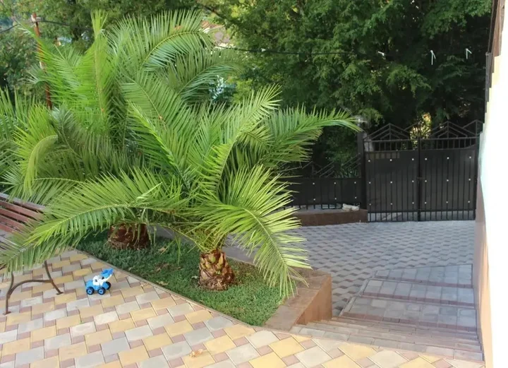 Лазаревское: Guest House Villa Nadezhda