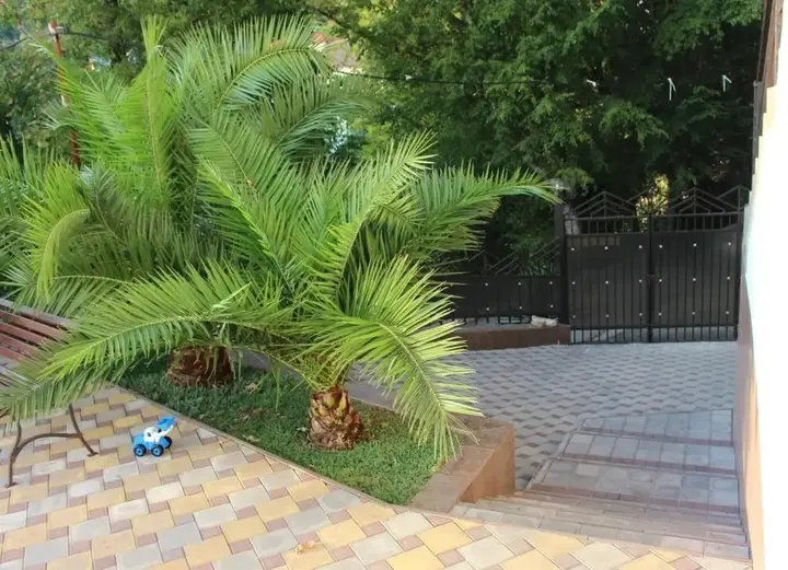 Лазаревское: Guest House Villa Nadezhda
