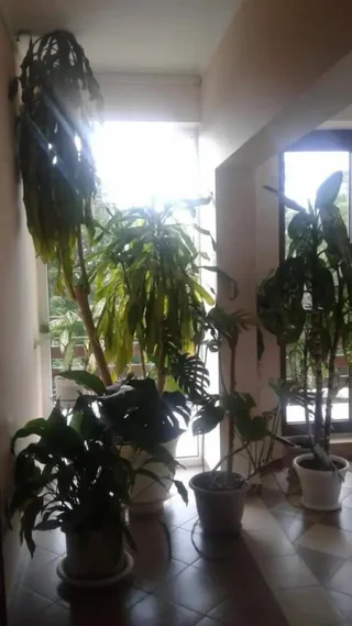 Лазаревское: Guest House Villa Nadezhda