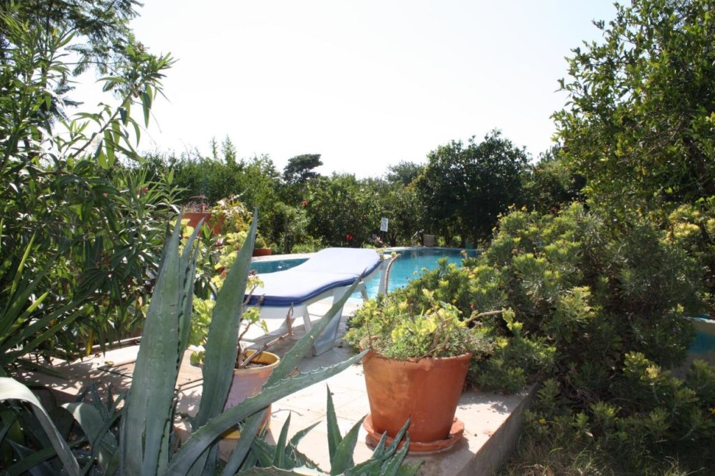 Бодрум: Villa Mandarin by Important Group Travel