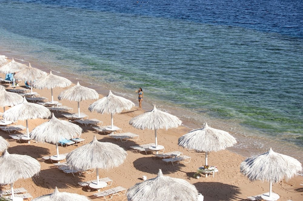 Шарм-эш-Шейх (Шарм-эль-Шейх): SUNRISE Arabian Beach Resort - Posh Club