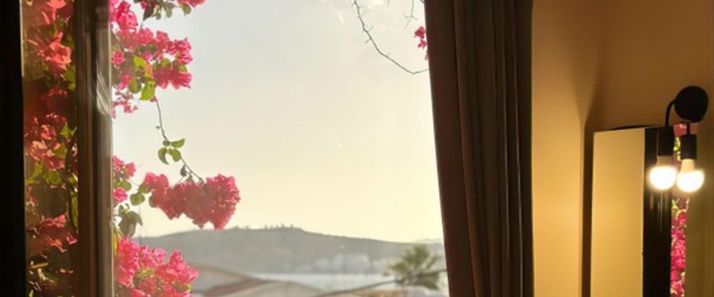 Бодрум: Andoya Butik Otel