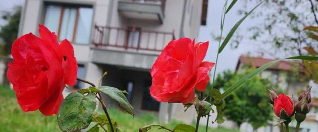 Болу: Sefa Konakları Abant Kaçkar Dağ Evleri