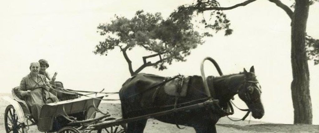 carousel image 4