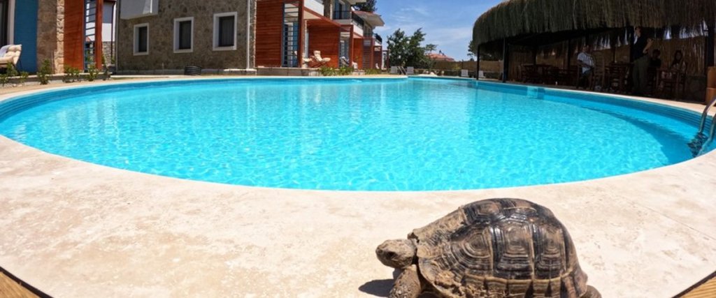 Датча: Eski Kapı Hotel Datça