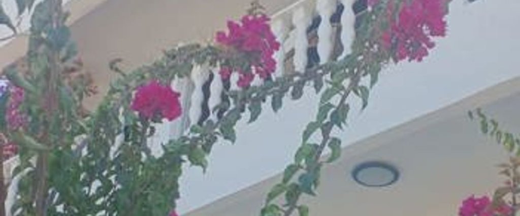 Коюнбаба: Villa Koc