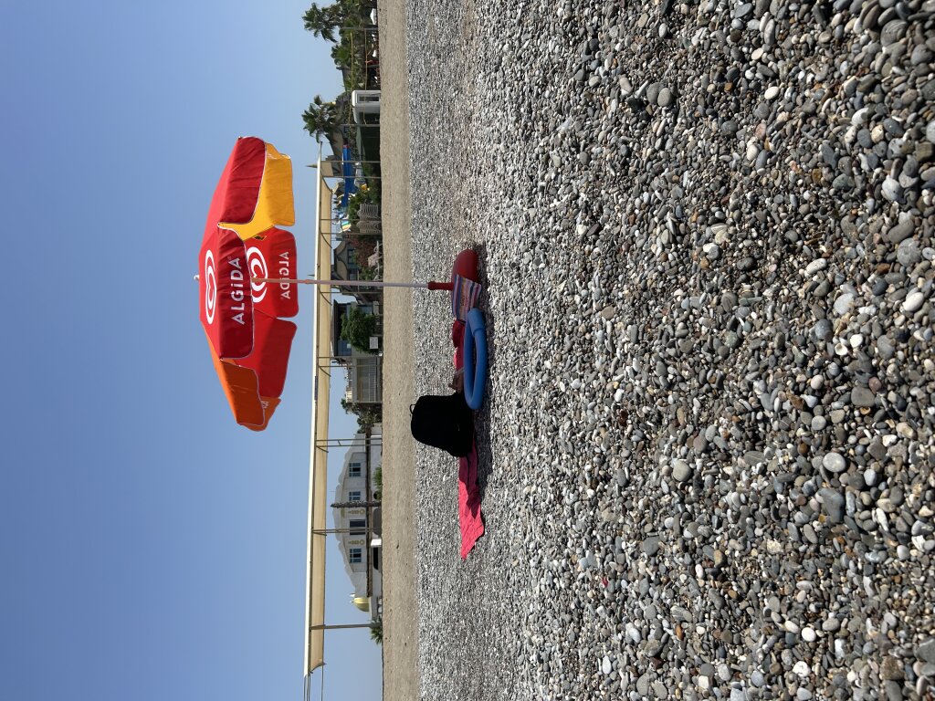 Богазкент: Flat By the Beach Under the Palm Trees