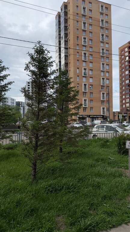 Красноярск: Квартира  в районе Пашенный