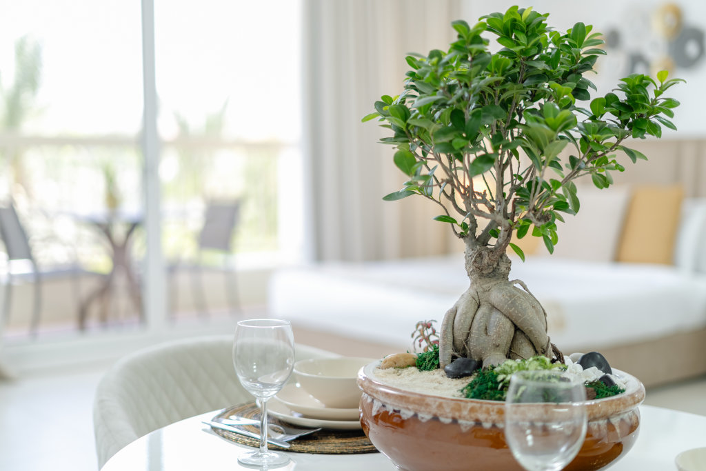 Дубай: АпартаментыMarco Polo Spacious Studio Lush Views & Huge Balcony JVT