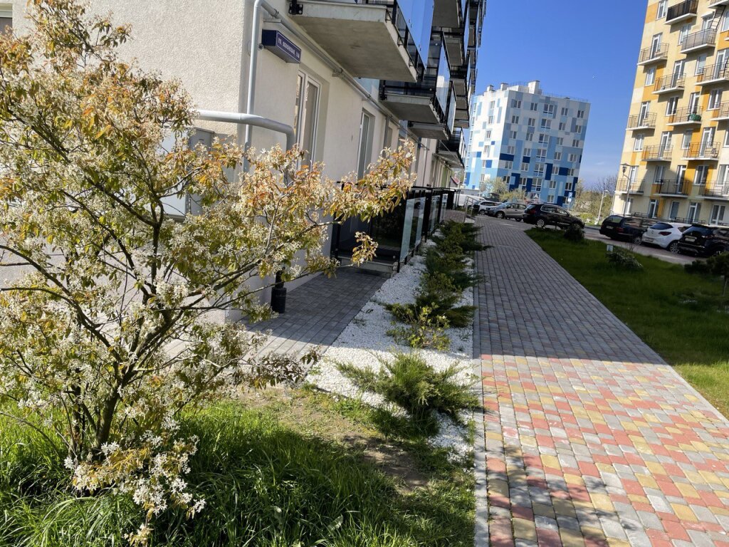 Светлогорск: Апартаменты Студия на Молодёжной д.19