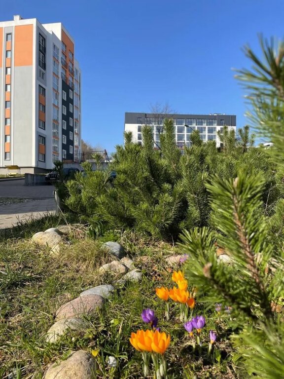 Апартаменты Уютные — фото 3