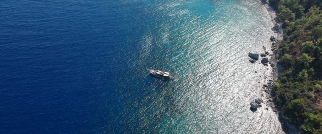 Коюнбаба: Bodrum Liman Resort