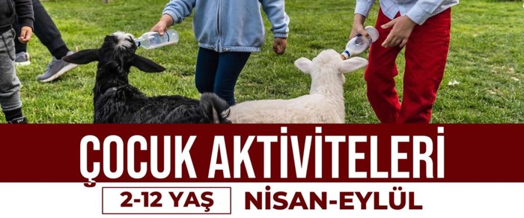 Коюневи: Alis Harikalar Diyarı