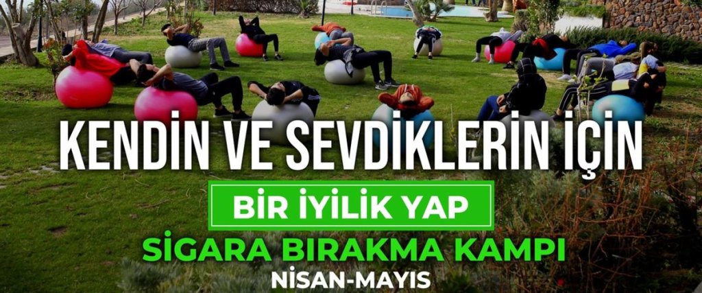 Коюневи: Alis Harikalar Diyarı