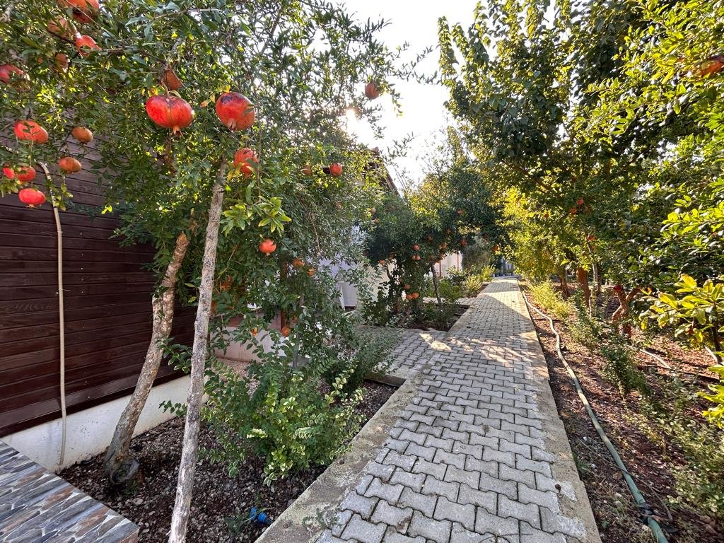 Кумлуджа: Olimpos Vadi Houses