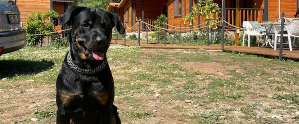 Кумлуджа: Eylül Pansiyon Olimpos