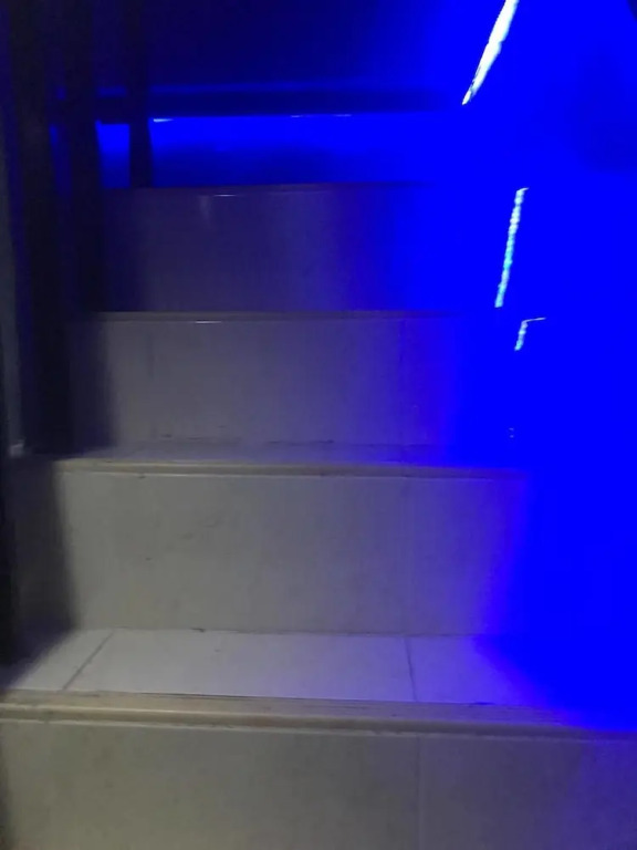 Краби: Ants House Phi Phi Dorm - Hostel