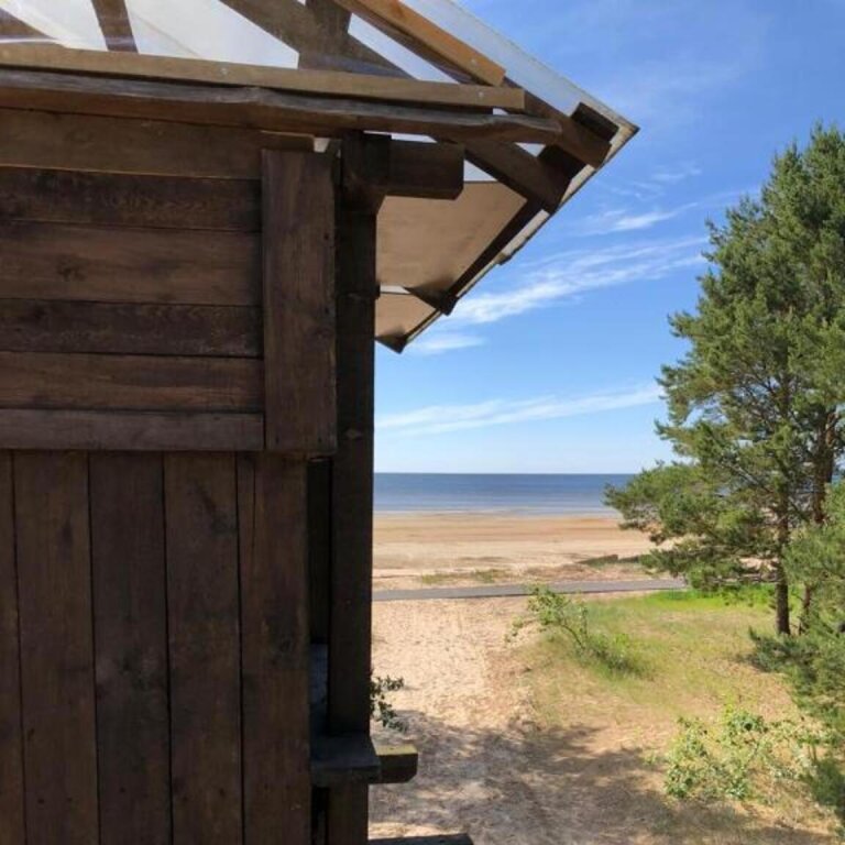 Сосновый Бор: Сёрф-станция Wind Hunters Station (Винд Хайнтерс Стейшен)