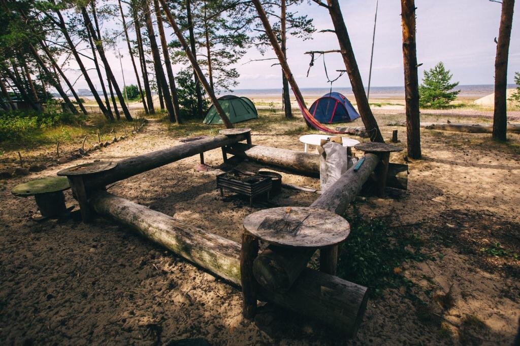 Сосновый Бор: Сёрф-станция Wind Hunters Station (Винд Хайнтерс Стейшен)