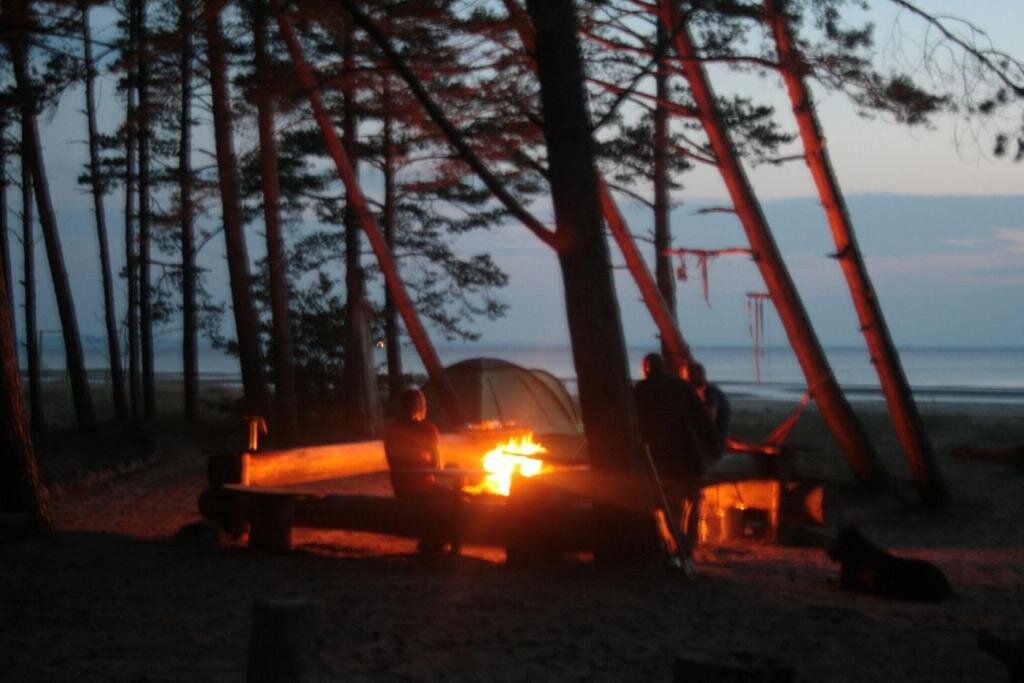 Сосновый Бор: Сёрф-станция Wind Hunters Station (Винд Хайнтерс Стейшен)