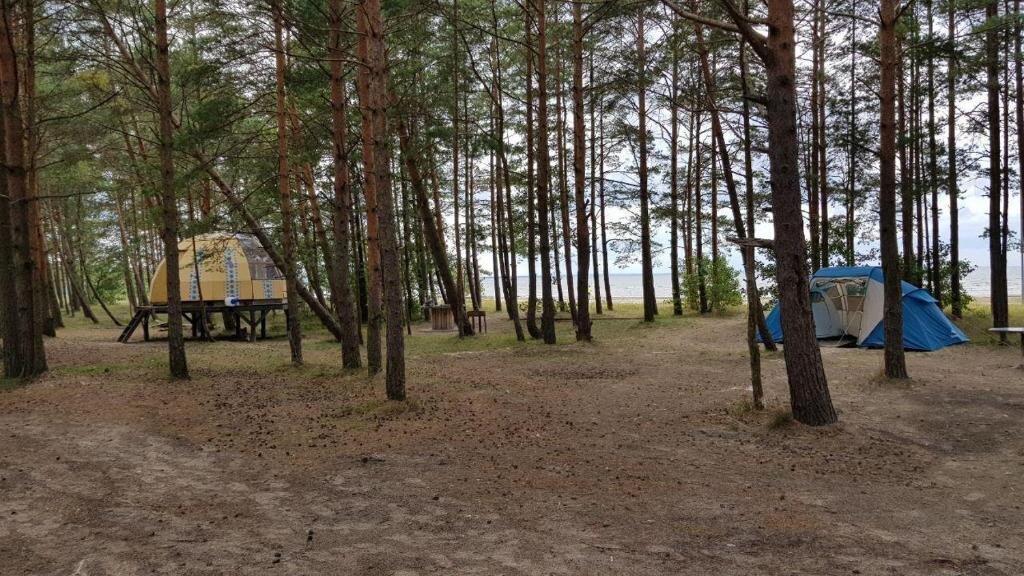 Сосновый Бор: Сёрф-станция Wind Hunters Station (Винд Хайнтерс Стейшен)