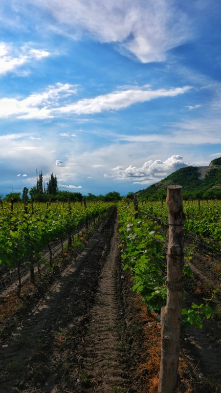 Кварели: Отель Burki Castle & Cellar