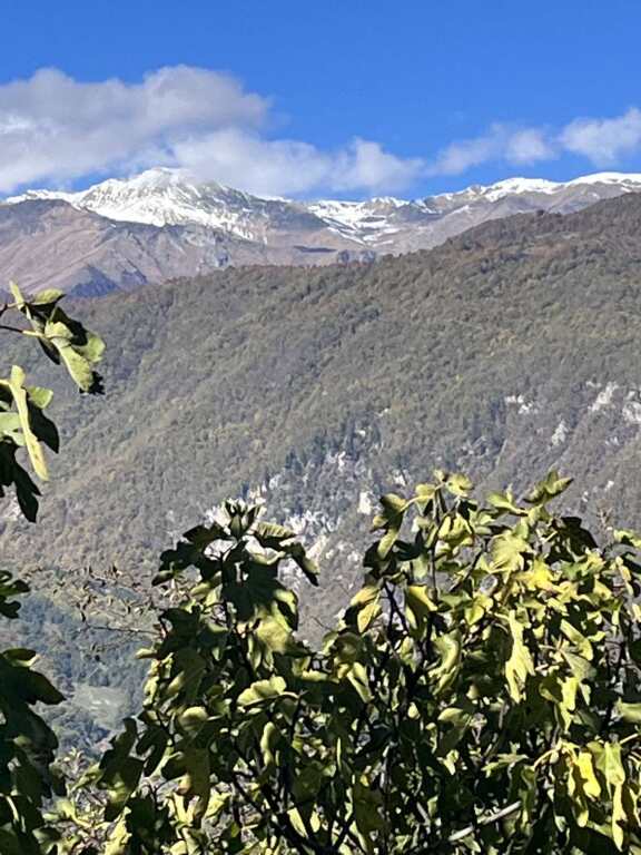Зугдиди: Гостевой дом София Грузия Кутаиси ул, Зугдидская 17