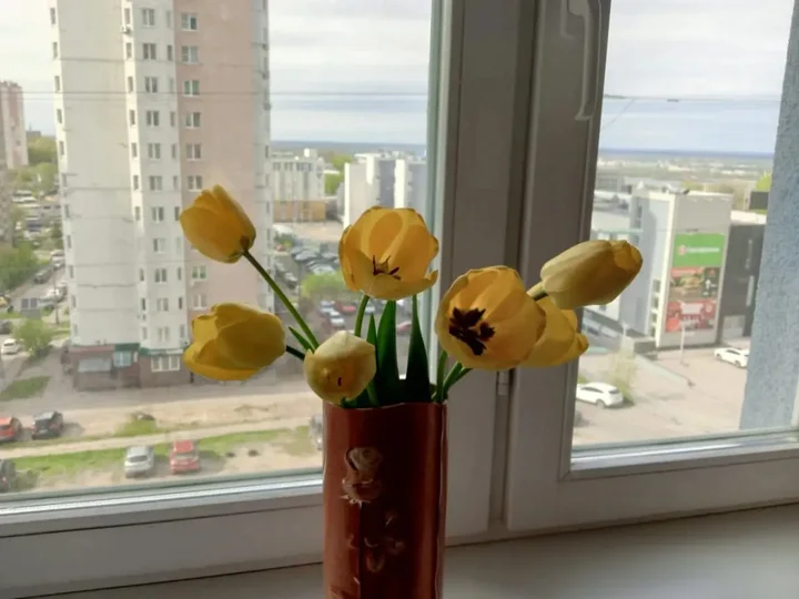 Нижний Новгород: Апартаменты Просторная 2-комнатная Квартира на Ул. Родионова