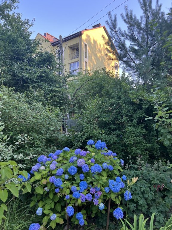 Светлогорск: Квартира Цветочный Светлогорск