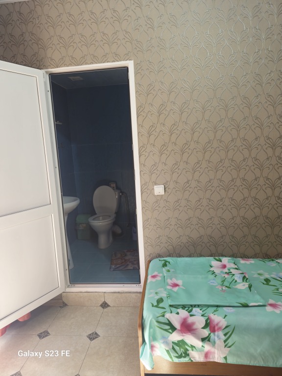 Алахадзи: Две палмый