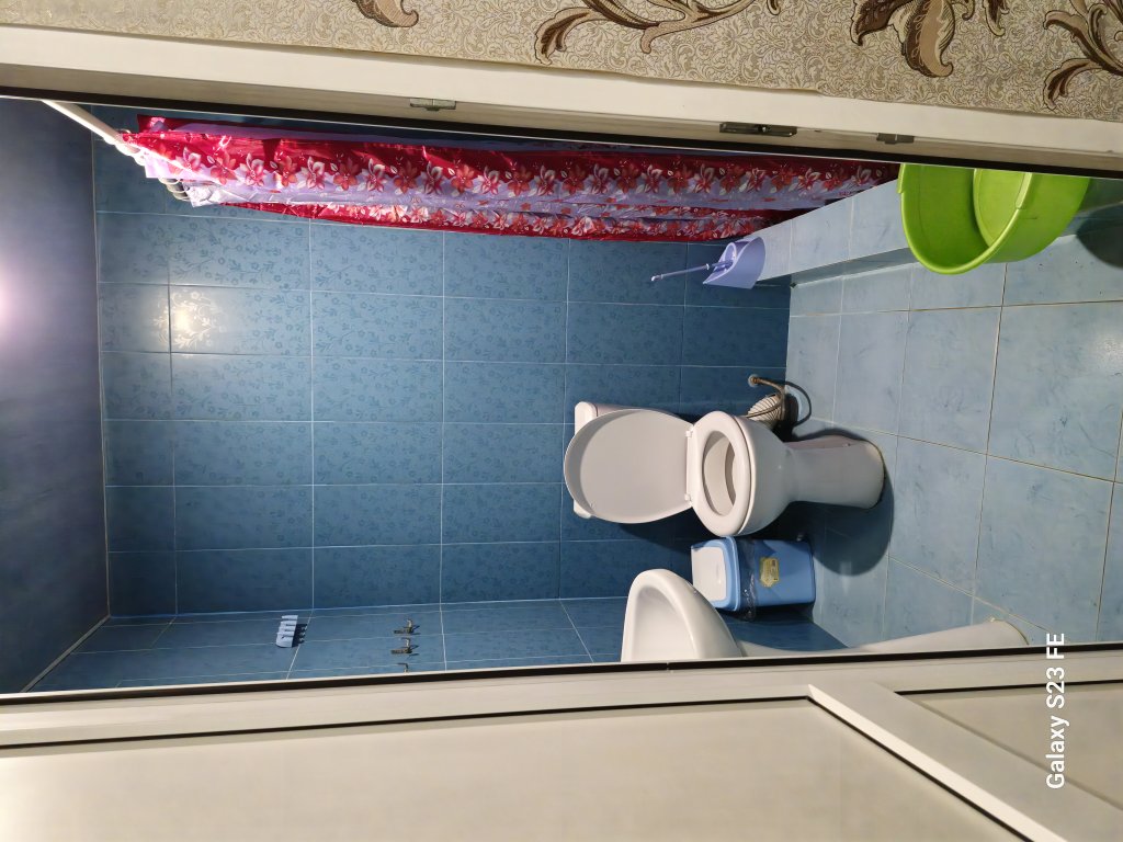 Алахадзи: Две палмый