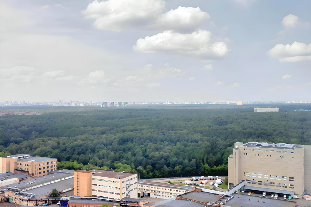Москва: Апартаменты с классным видом, метро и парком Лосиный Остров