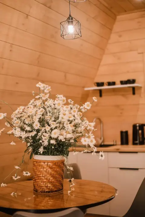 Чемал: База отдыха Робин Гуд