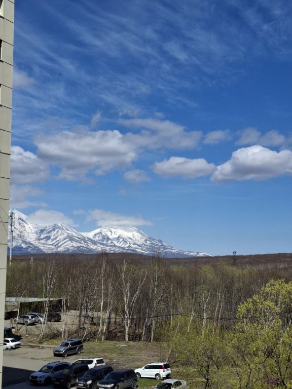Петропавловск-Камчатский: Квартира Уютные апартаменты на Ларина 18