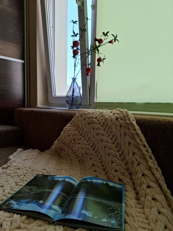 Петропавловск-Камчатский: Квартира Уютные апартаменты на Ларина 18